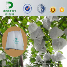 Contra Bacterias Imperméable Empaquetado De La Fruta Papel Bolso De La UVA